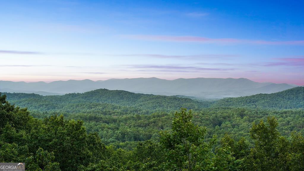 a view of a lush green forest with mountains in the background