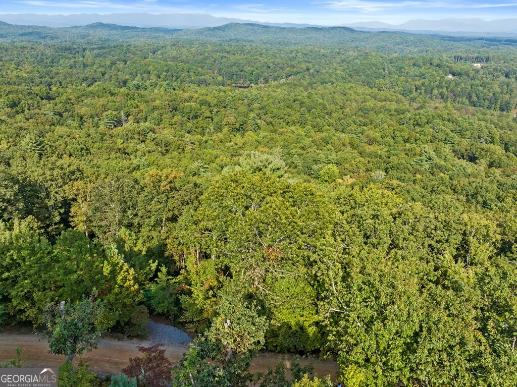 720 Morton Drive Ellijay, GA 30540 - Photo 13 of 39