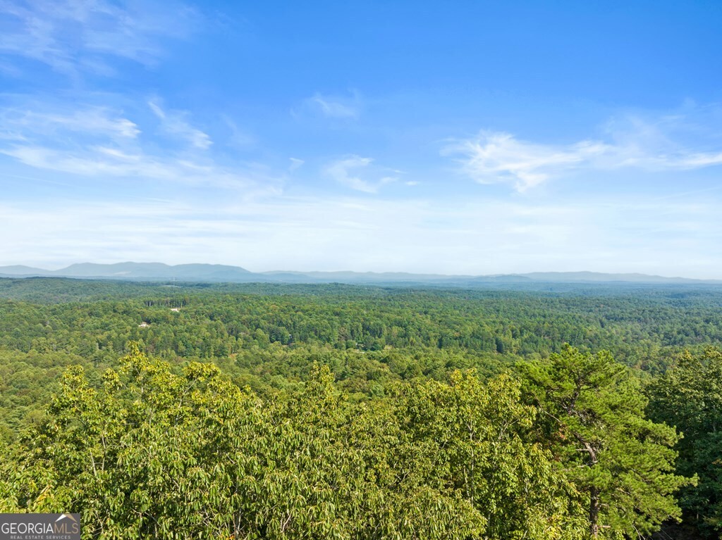 720 Morton Drive Ellijay, GA 30540 - Photo 15 of 39