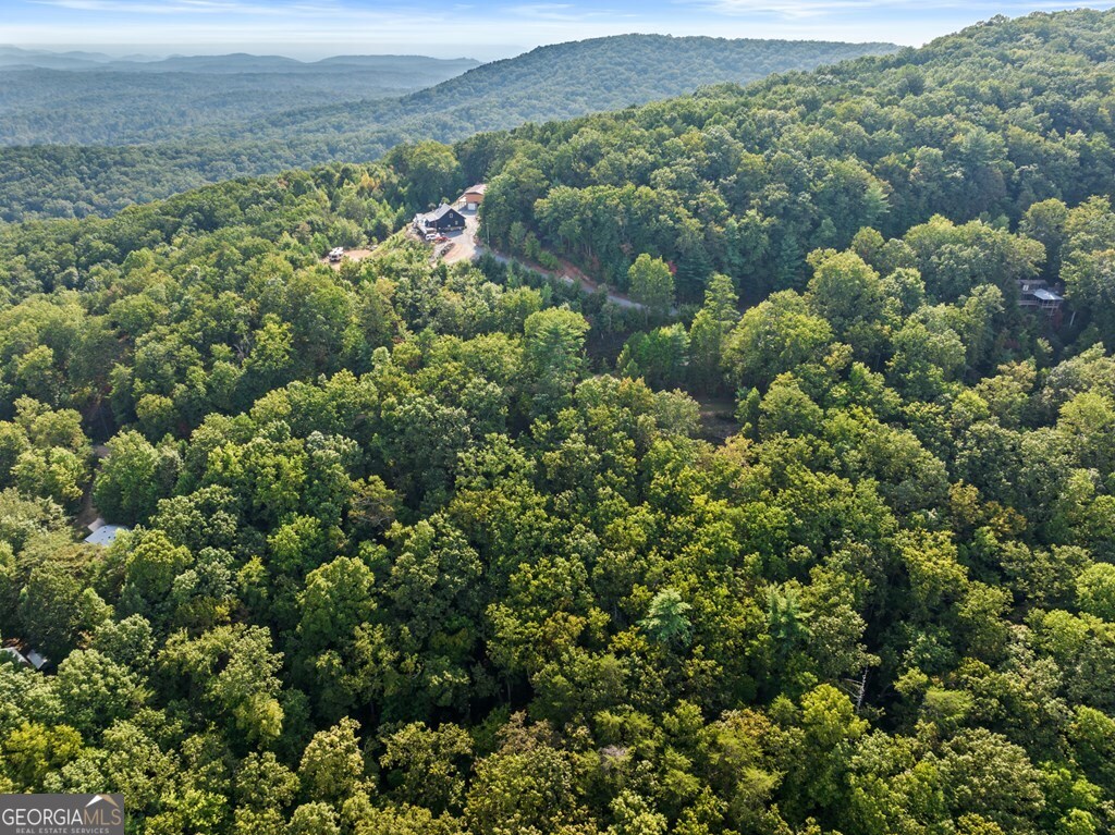 720 Morton Drive Ellijay, GA 30540 - Photo 17 of 39