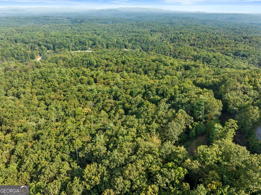 720 Morton Drive Ellijay, GA 30540 - Photo 18 of 39