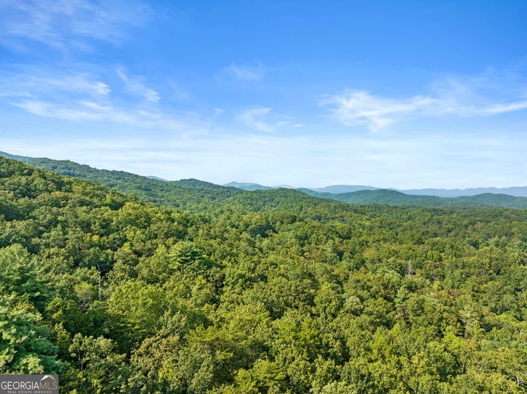 720 Morton Drive Ellijay, GA 30540 - Photo 19 of 39