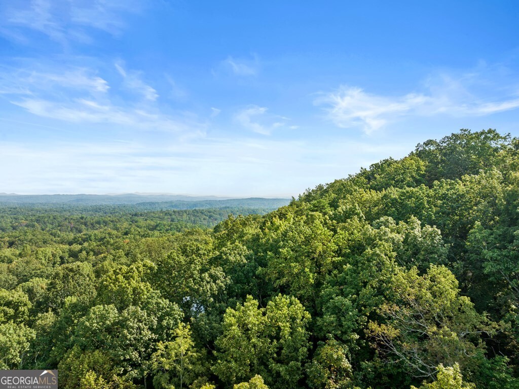720 Morton Drive Ellijay, GA 30540 - Photo 20 of 39