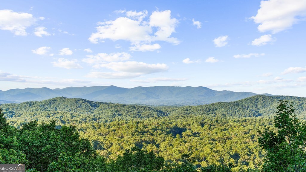 720 Morton Drive Ellijay, GA 30540 - Photo 24 of 39