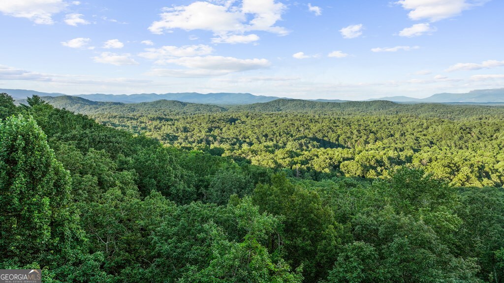 720 Morton Drive Ellijay, GA 30540 - Photo 25 of 39