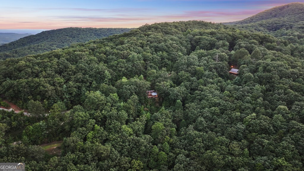 720 Morton Drive Ellijay, GA 30540 - Photo 26 of 39