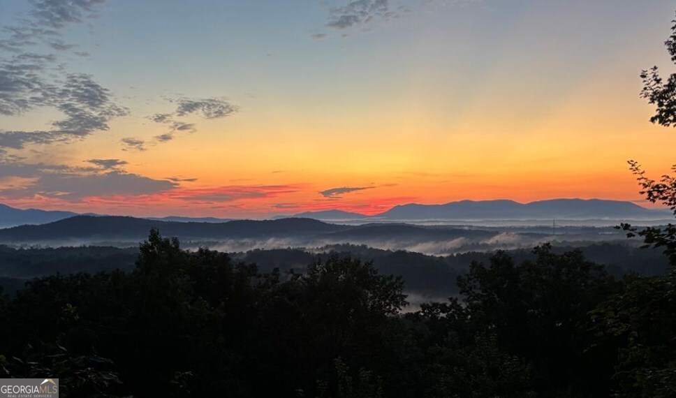 720 Morton Drive Ellijay, GA 30540 - Photo 3 of 39