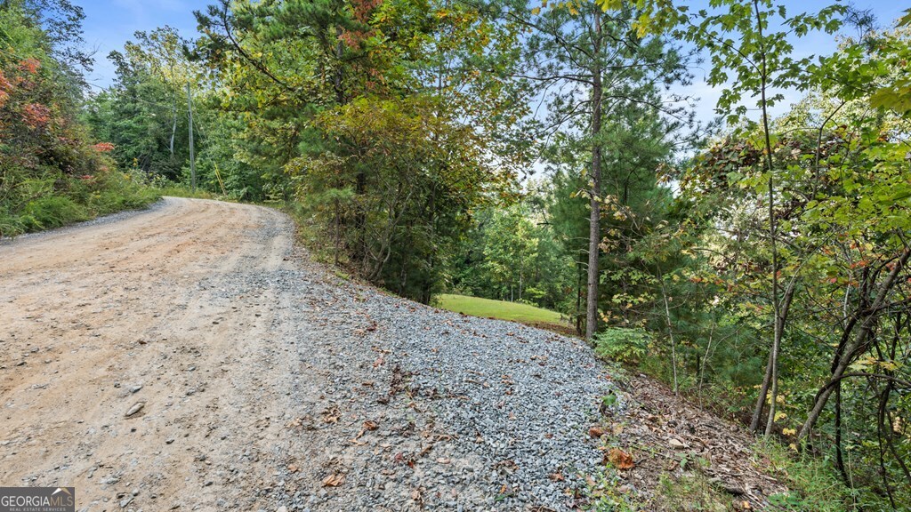 720 Morton Drive Ellijay, GA 30540 - Photo 33 of 39