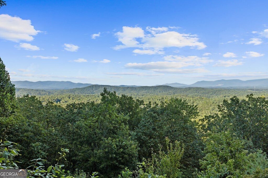 720 Morton Drive Ellijay, GA 30540 - Photo 36 of 39