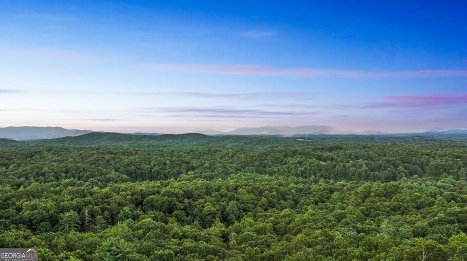 720 Morton Drive Ellijay, GA 30540 - Photo 37 of 39