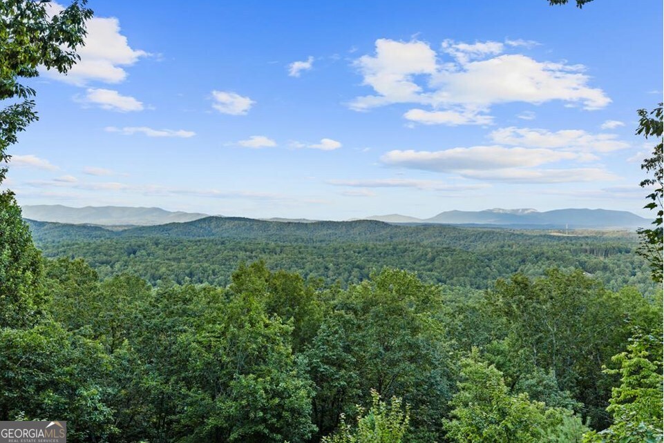 720 Morton Drive Ellijay, GA 30540 - Photo 38 of 39