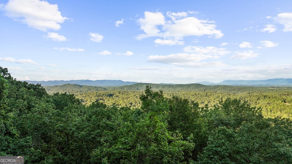 720 Morton Drive Ellijay, GA 30540 - Photo 5 of 39