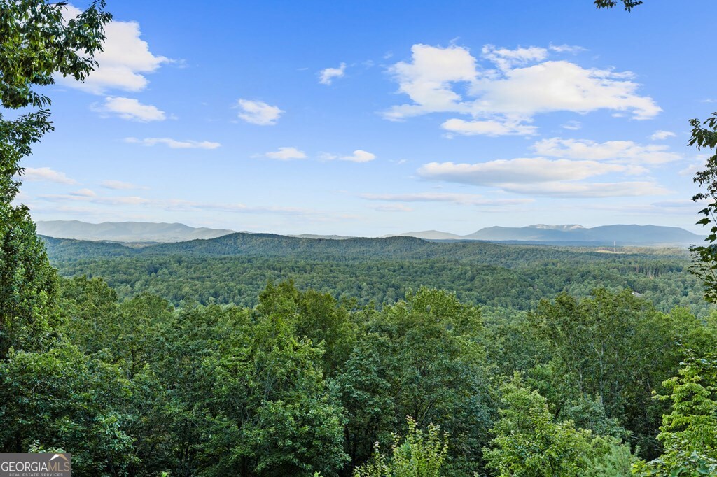 720 Morton Drive Ellijay, GA 30540 - Photo 7 of 39