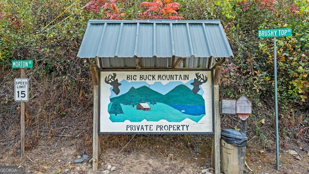 720 Morton Drive Ellijay, GA 30540 - Photo 8 of 39