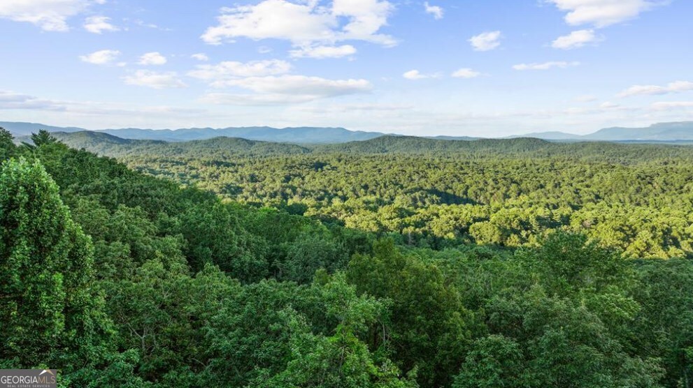 720 Morton Drive Ellijay, GA 30540 - Photo 10 of 39