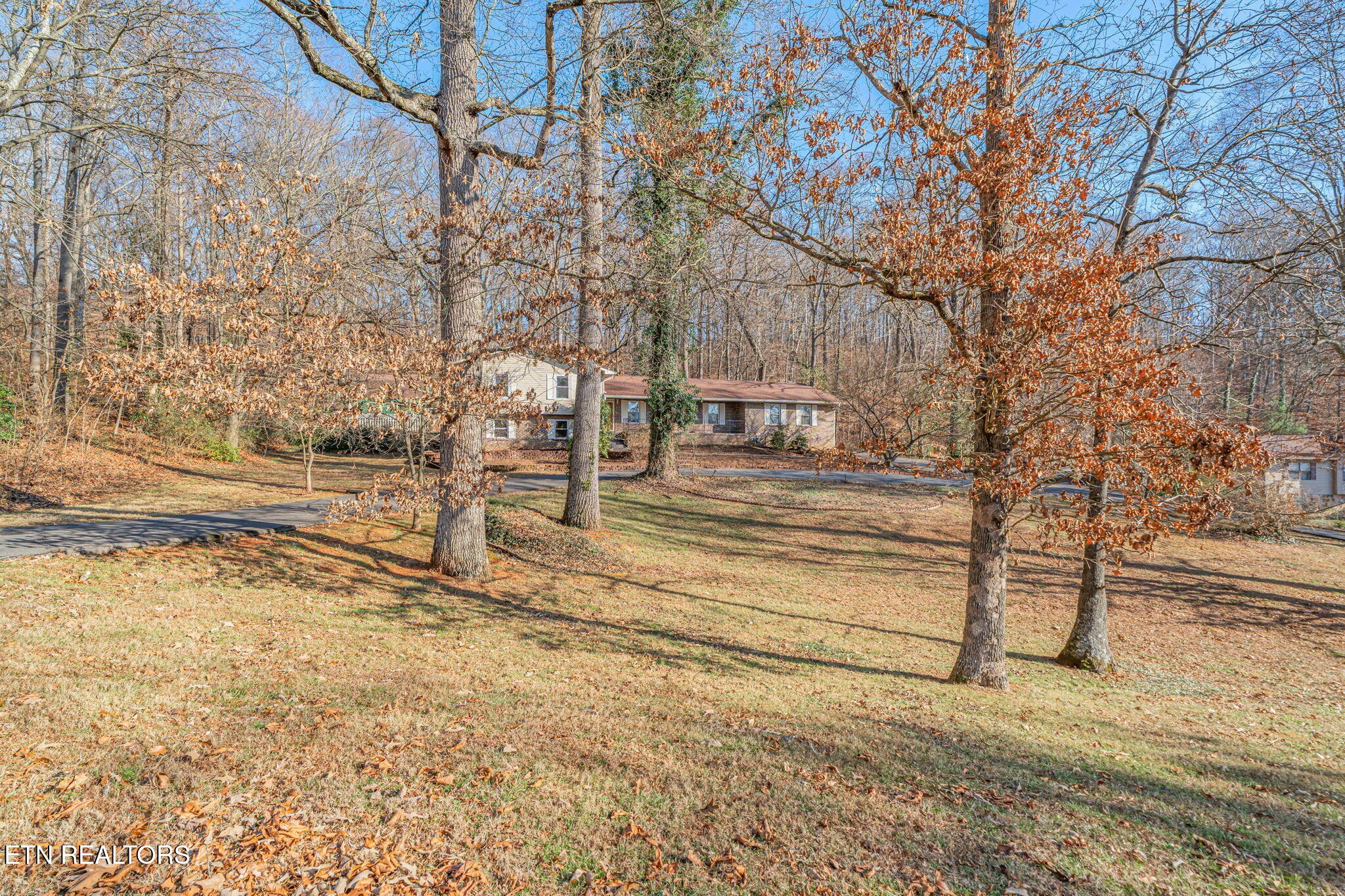 744 Butler Drive Loudon, TN 37774 - Photo 8 of 59 a view of a yard with wooden fence