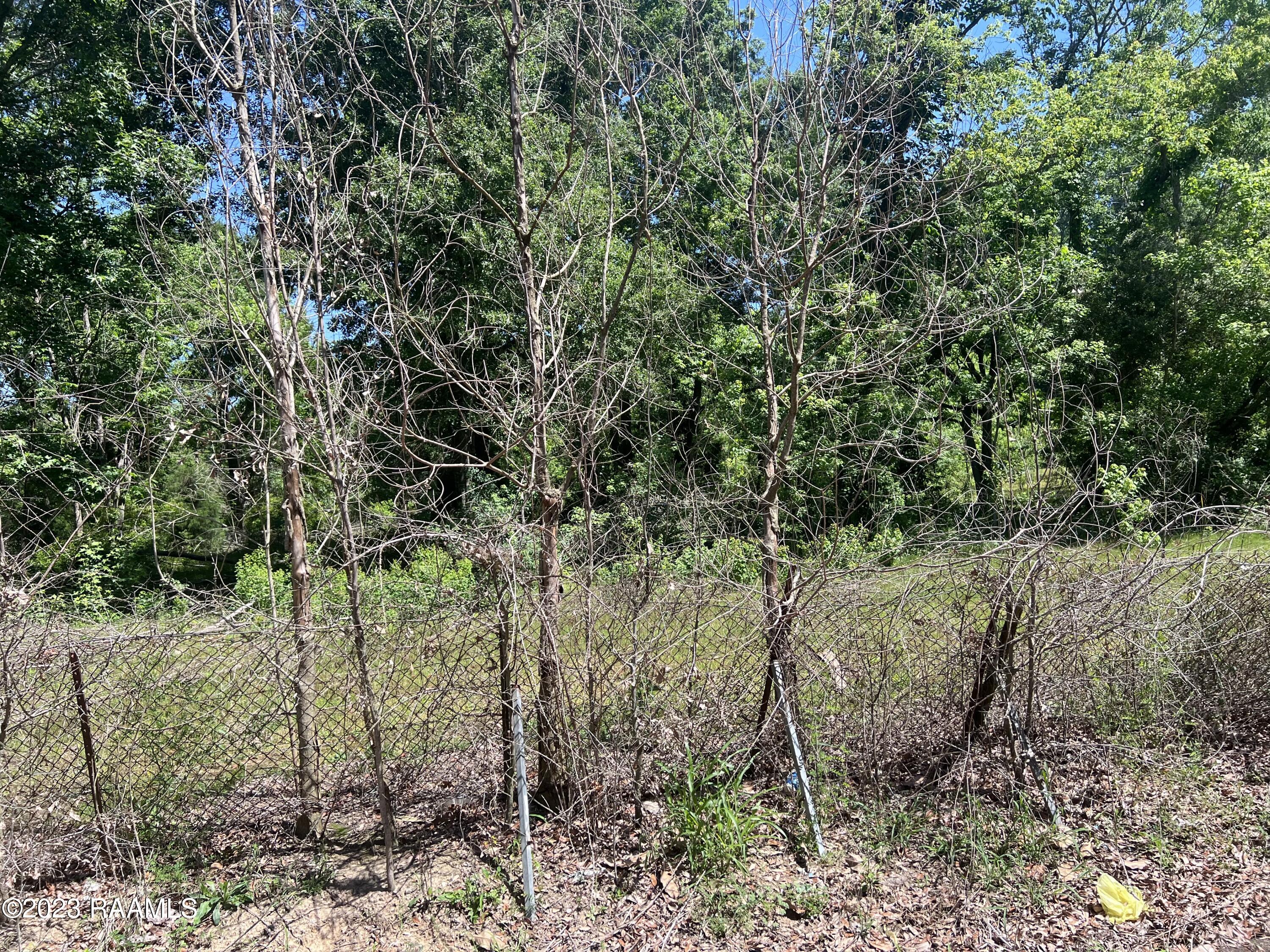 Tbd Linden Lewis Road Youngsville, LA 70592 - Photo 4 of 4