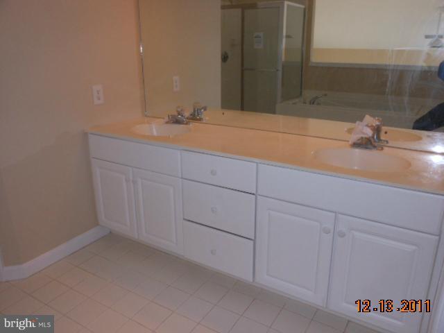 6025 Riddle Walk Alexandria, VA 22312 - Photo 4 of 13 Bath (Master)