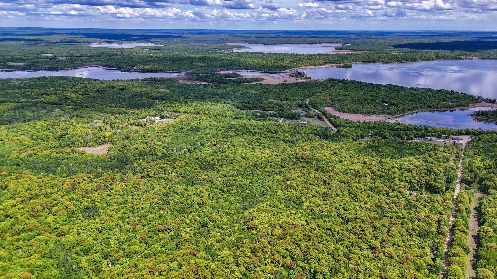 Tbd Cherry Lake Road Ogema, MN 56569 - Photo 2 of 4