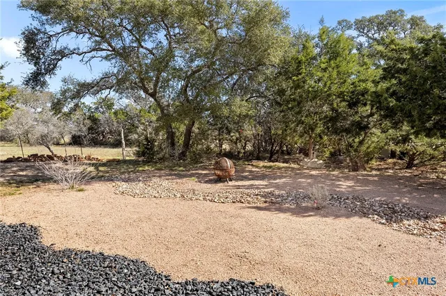a view of a yard with a tree