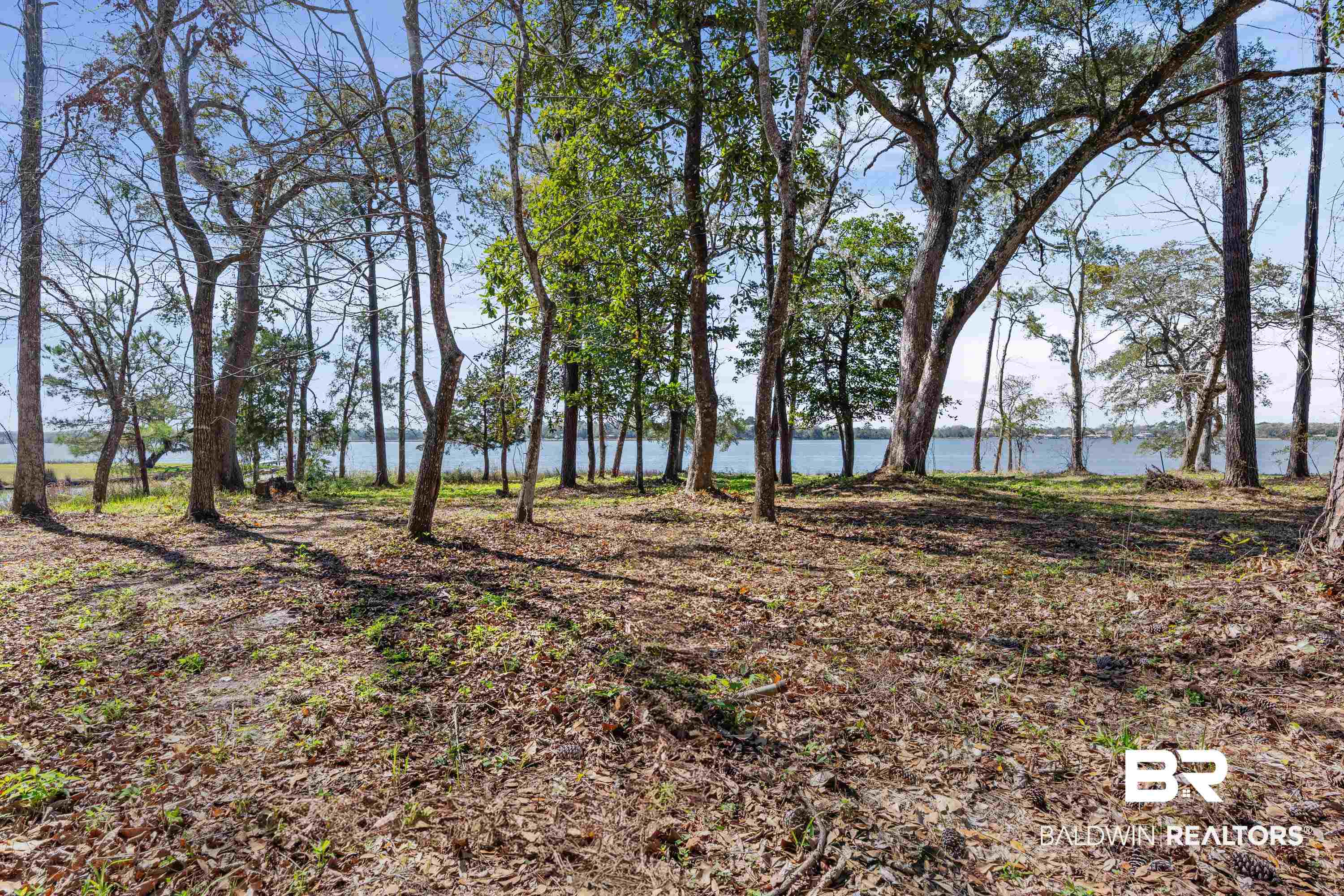 Forrest Street Mobile, AL 36605 - Photo 11 of 19