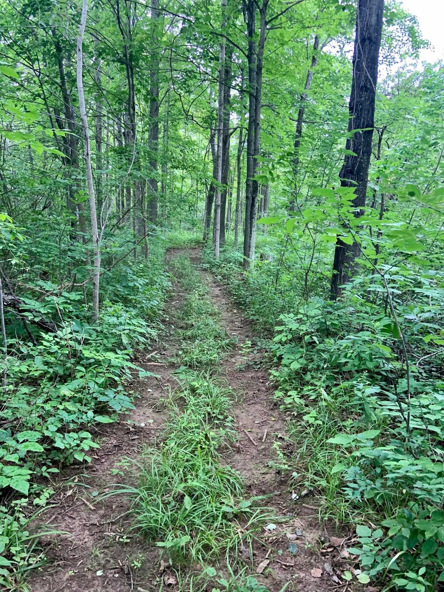 734 Aller Road Northeast Kalkaska, MI 49646 - Photo 40 of 44 1913422-39.JPG