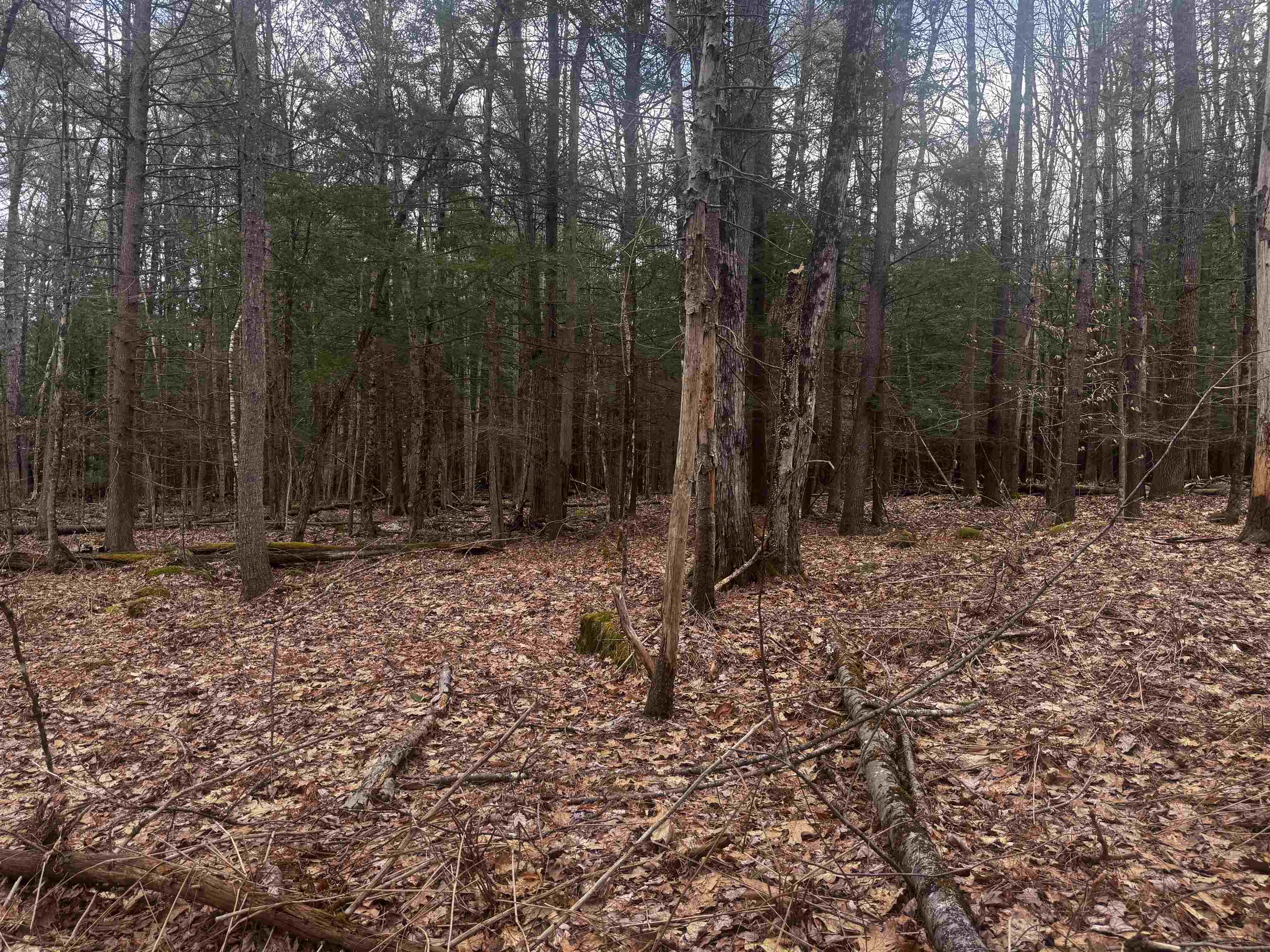 0 Chapman Road Keene, NH 03431 - Photo 6 of 6 Gallery Image 6