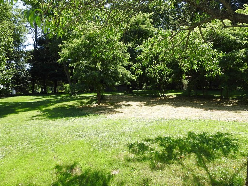 Peaceful and Serene Yard