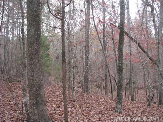 39-ac 39-ac Trussel Road Chester, SC 29706 - Photo 3 of 5