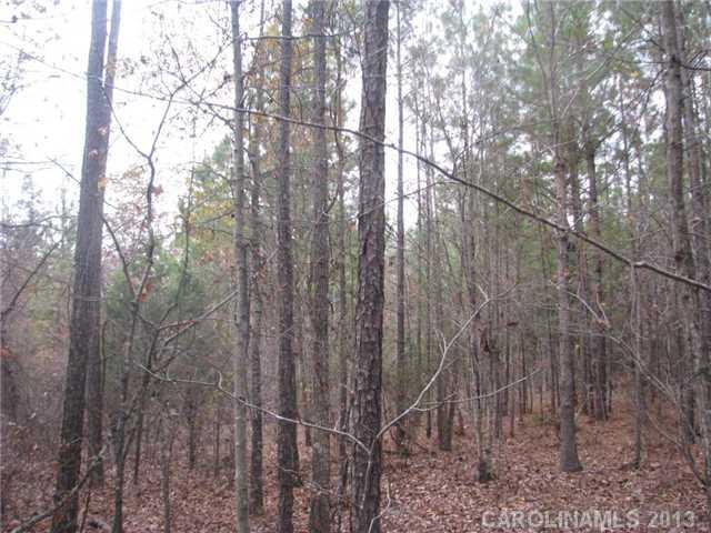 39-ac 39-ac Trussel Road Chester, SC 29706 - Photo 4 of 5