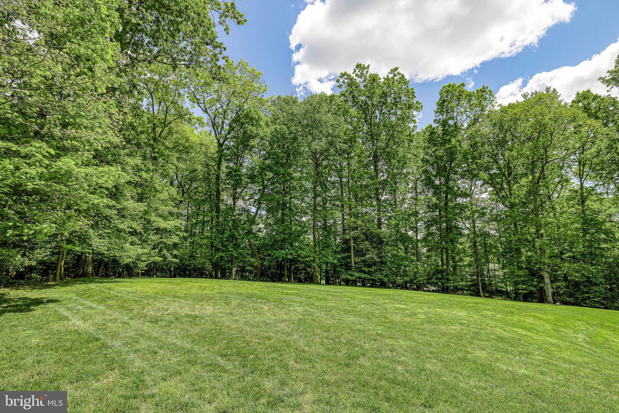 2724 Colt Run Road Oakton, VA 22124 - Photo 114 of 121 Endless opportunity on 5 acres.
