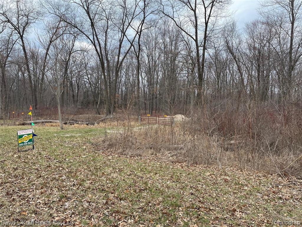 4220 Sand Road Caseville, MI 48725 - Photo 2 of 5