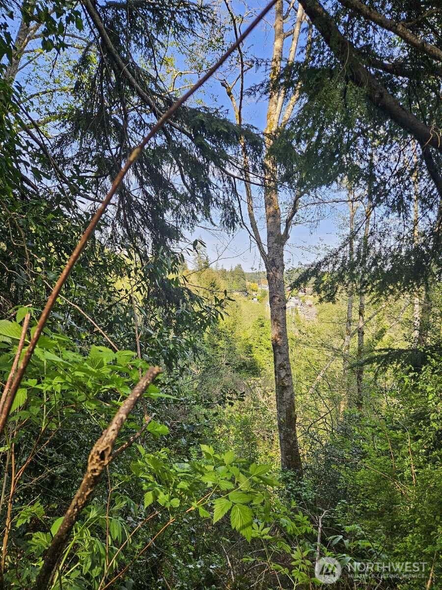0 9th Avenue Aberdeen, WA 98520 - Photo 3 of 5 a view of a tree in the middle of a yard