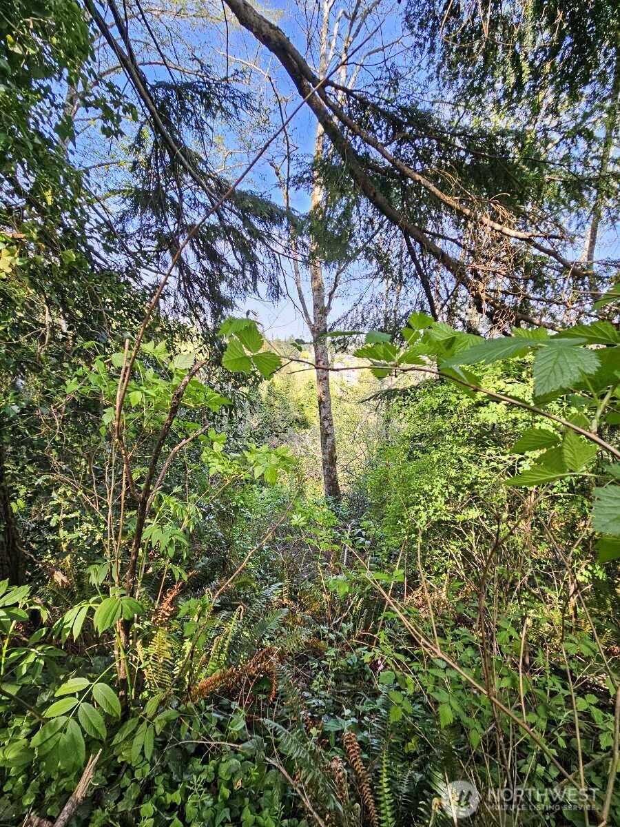 0 9th Avenue Aberdeen, WA 98520 - Photo 4 of 5 a view of a yard