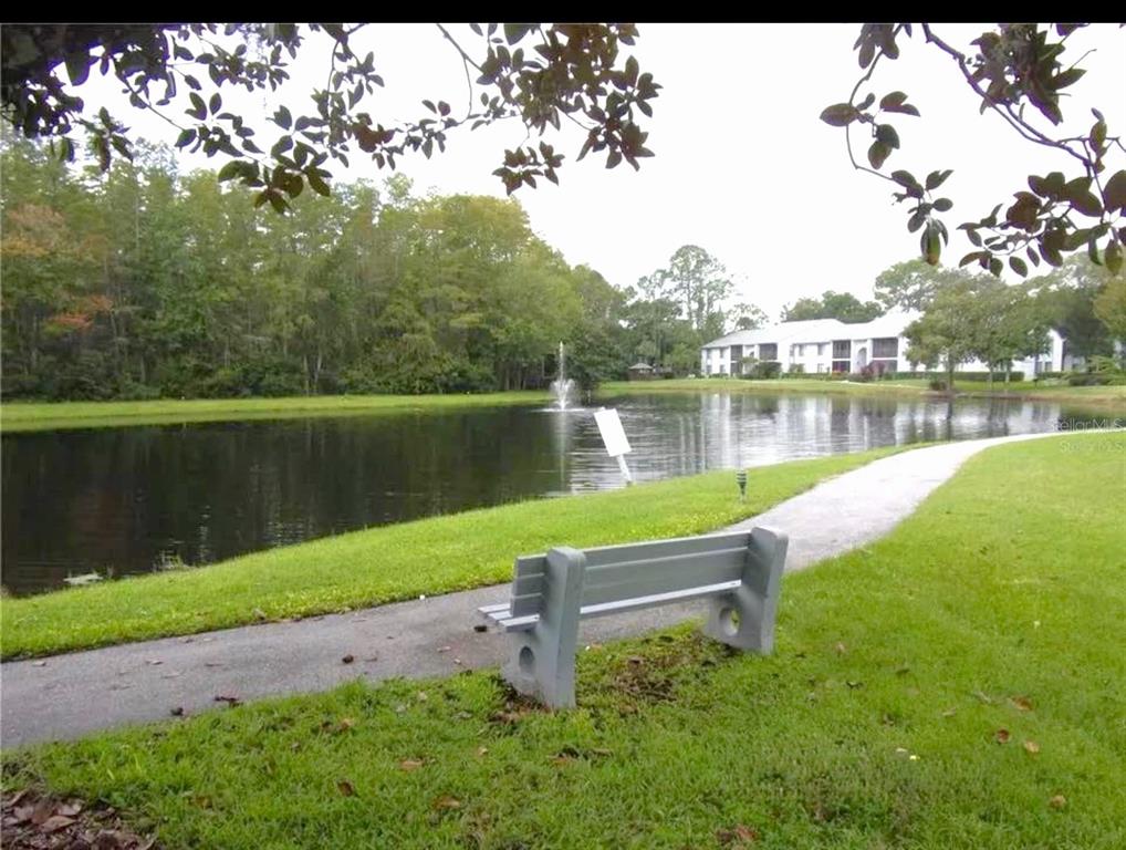 1344 Pine Ridge Circle East, Unit E3 Tarpon Springs, FL 34688 - Photo 16 of 25 a view of a lake with houses in the back