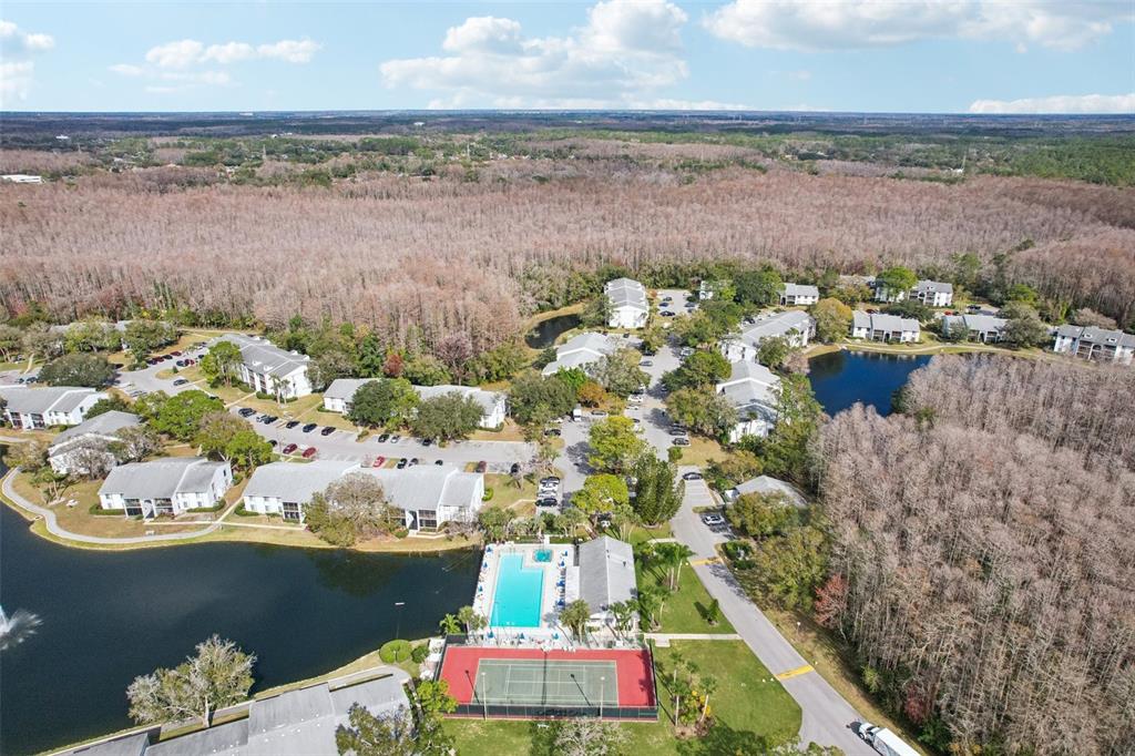 1344 Pine Ridge Circle East, Unit E3 Tarpon Springs, FL 34688 - Photo 24 of 25