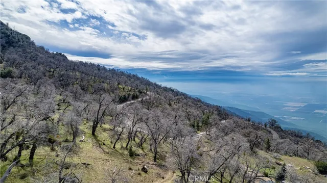a view of a dry yard with trees in the background