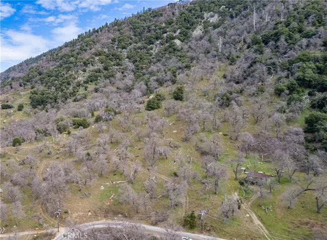 a view of a dry field with trees in the background