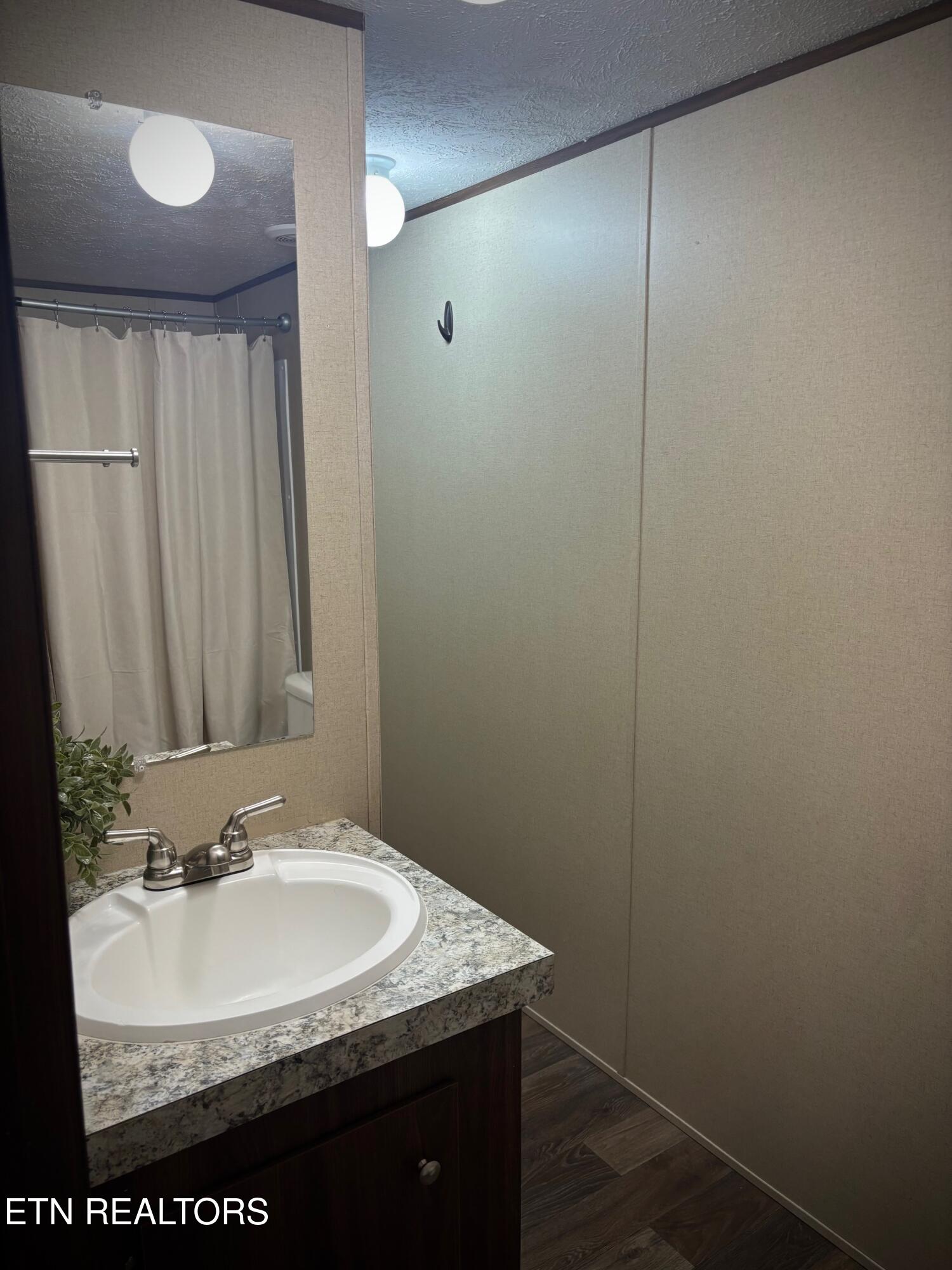 480 Water Street Speedwell, TN 37870 - Photo 11 of 22 IMG_4623