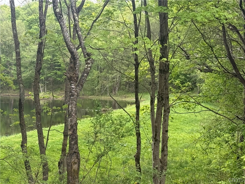 Lot #9 Lost Ridge Road, Unit 9 Camden, NY 13316 - Photo 19 of 27