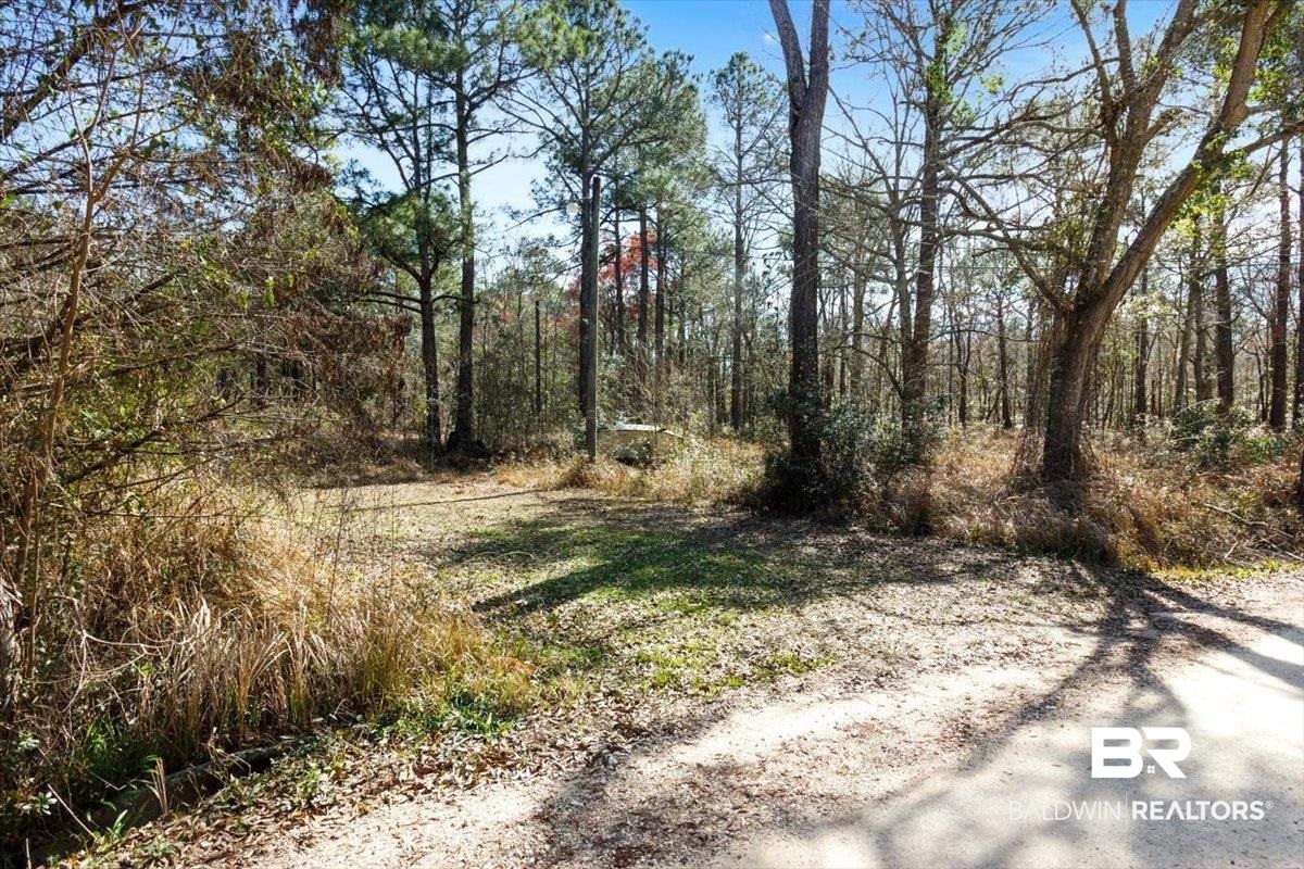 16045 Williams Street Coden, AL 36523 - Photo 1 of 15 View of street