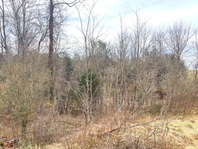 $72,000 | 0 Moneta Road, Bedford, VA 24523