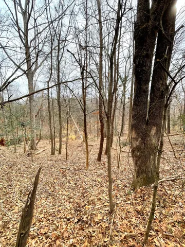 $72,000 | 0 Moneta Road, Bedford, VA 24523