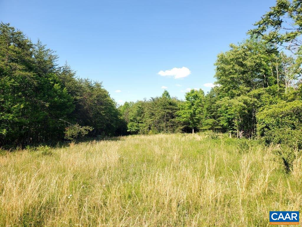 8784 Rocky Ford Road Moneta, VA 24121 - Photo 10 of 27 Gallery Image 10