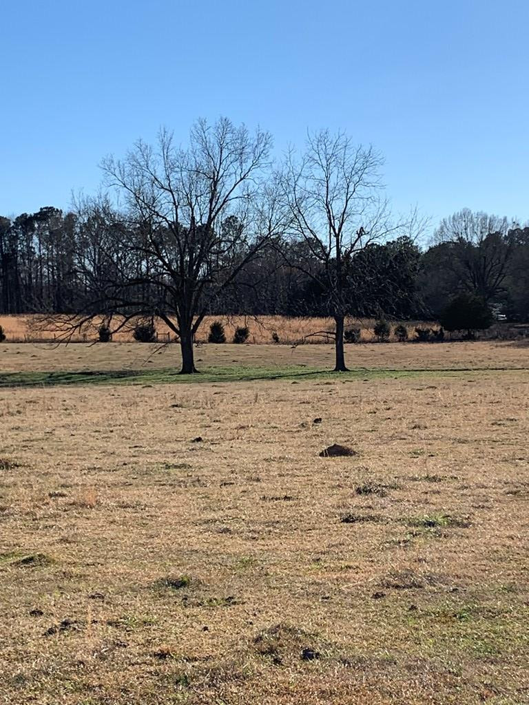 0 Oscar Thornton Road Washington, GA 30673 - Photo 2 of 5