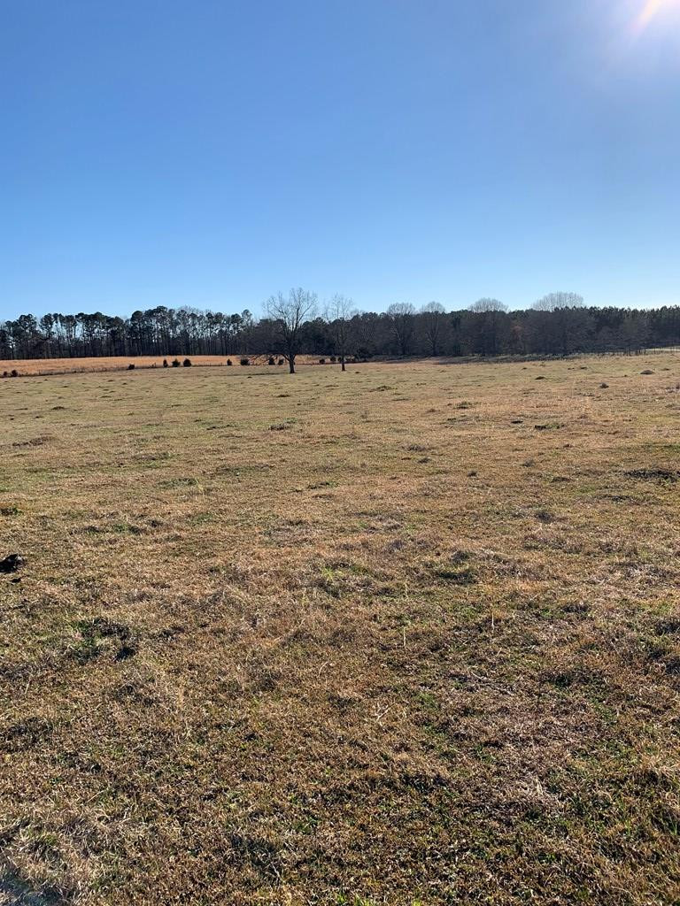 0 Oscar Thornton Road Washington, GA 30673 - Photo 3 of 5