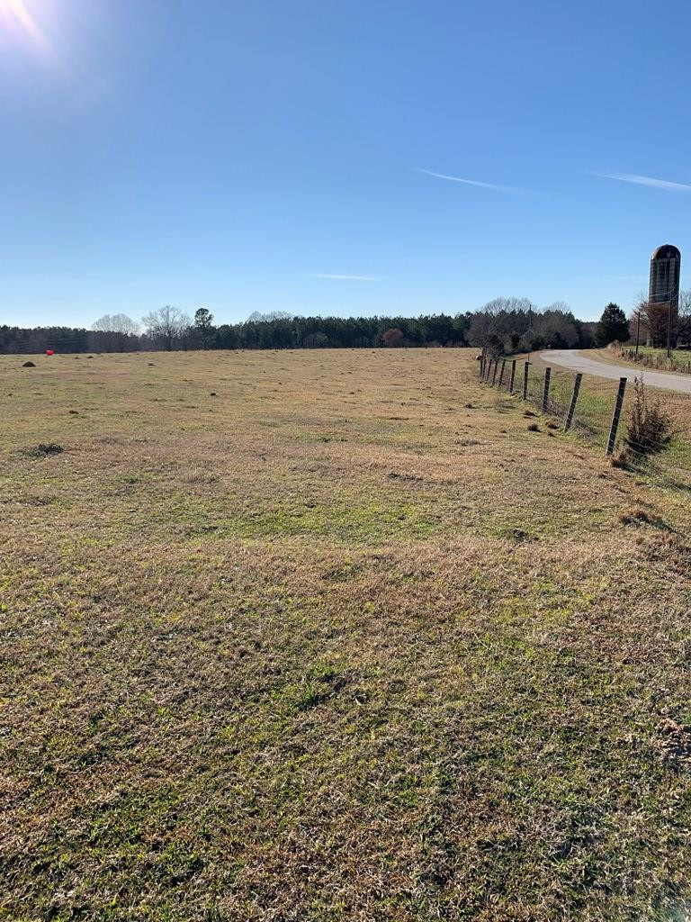0 Oscar Thornton Road Washington, GA 30673 - Photo 4 of 5