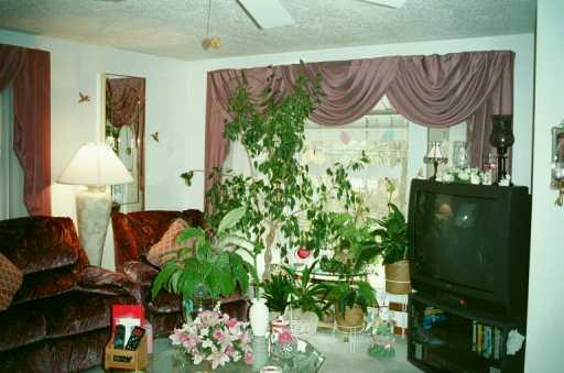 3625 Foster Road North Versailles, PA 15137 - Photo 3 of 8 Other.