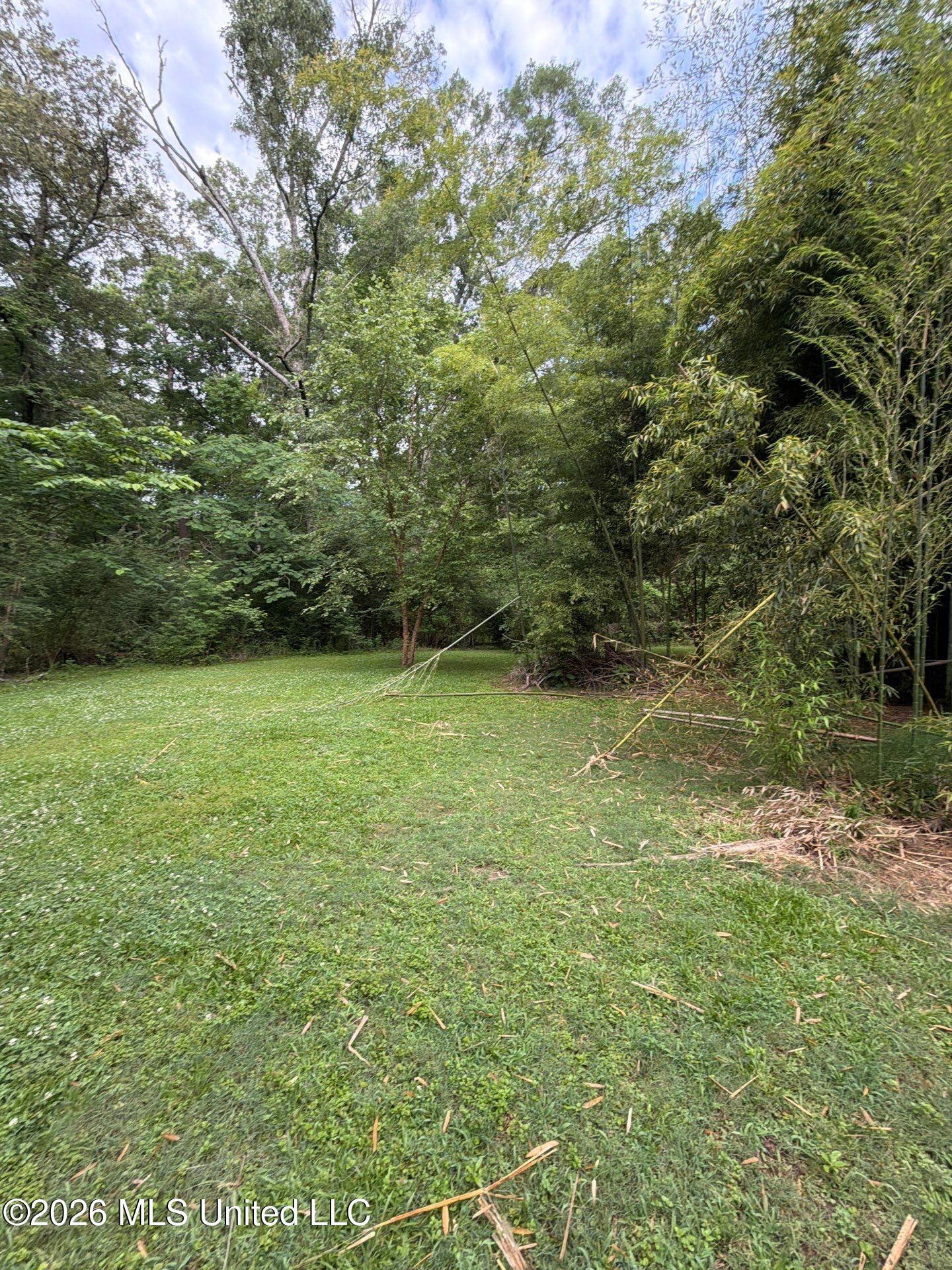118 Canterbury Road Brandon, MS 39042 - Photo 37 of 60 16-May 19, 2026 13-06-08-gP4z