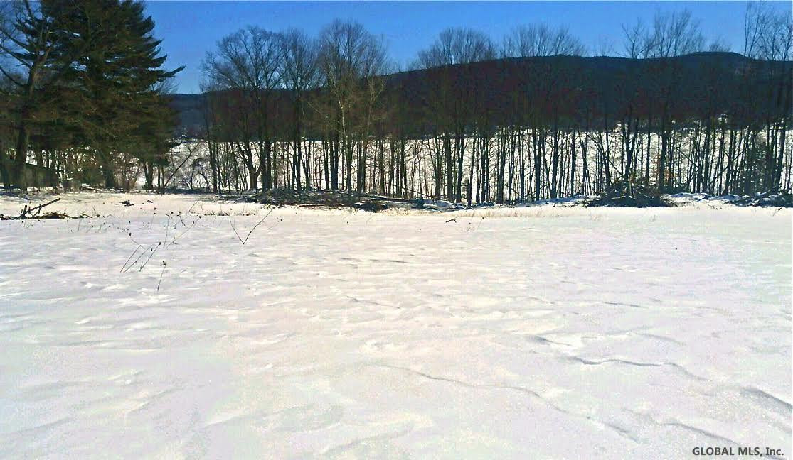 467 Sinclair Road, Unit LOT 5 Edinburg, NY 12134 - Photo 5 of 11 Photo 5